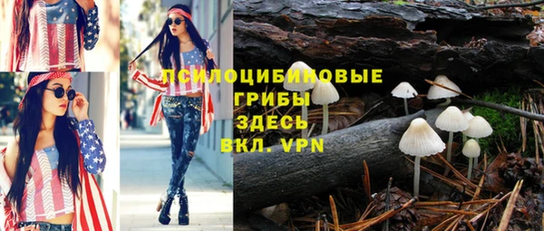 прущая мука Алзамай