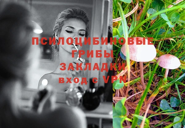 прущая мука Алзамай
