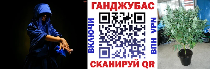 Канабис индика  купить наркоту  Лесосибирск 